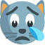:crying_cat_face: :crying_cat_face: