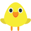 :hatched_chick: