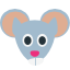 :mouse: